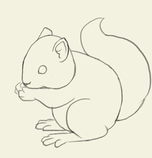 Белка рисунок