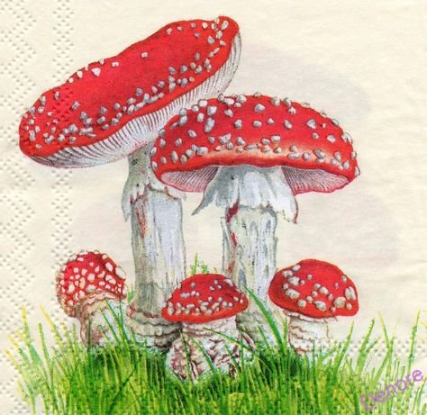 Нарисовать мухомор
