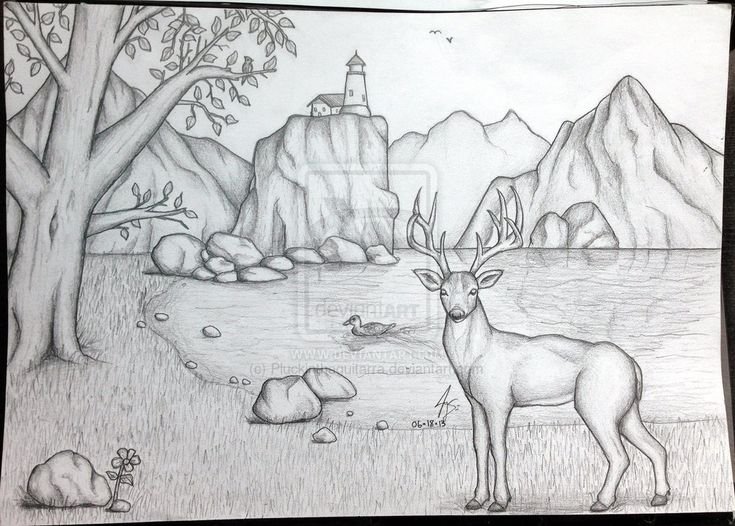 Пейзаж рисунок карандашом