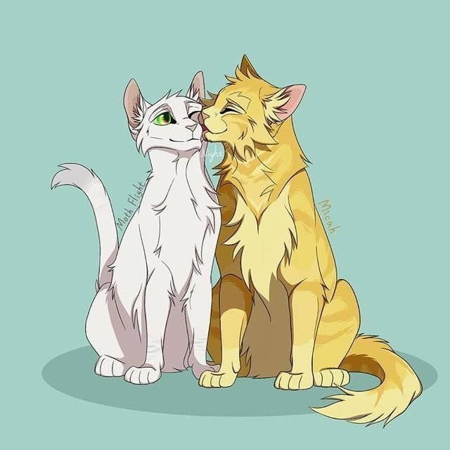 Коты Воители бабочка и Мика