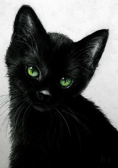 Черная кошка рисунок
