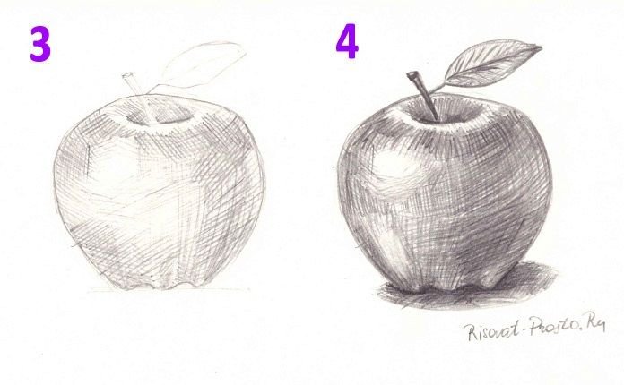 Рисование яблока карандашом