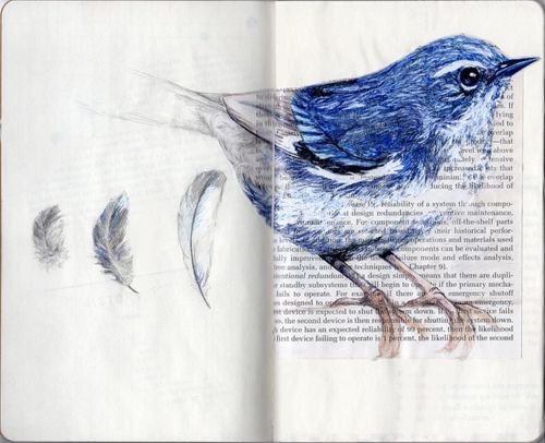 Книжные рисунки птиц