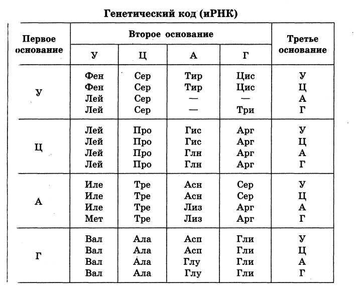 Таблица генетического кода РНК по биологии