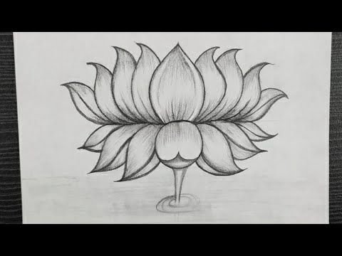 Рисунки растений для срисовки