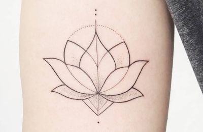 Tiny Lotus Truth