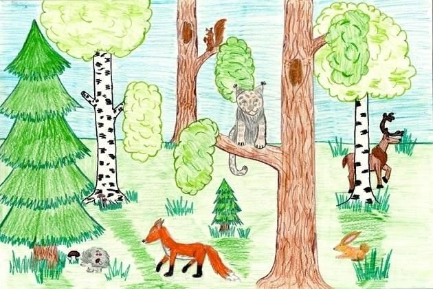 Лес для дошкольников