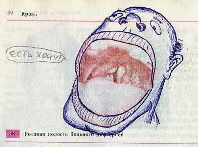 Рисунки в учебниках смешные