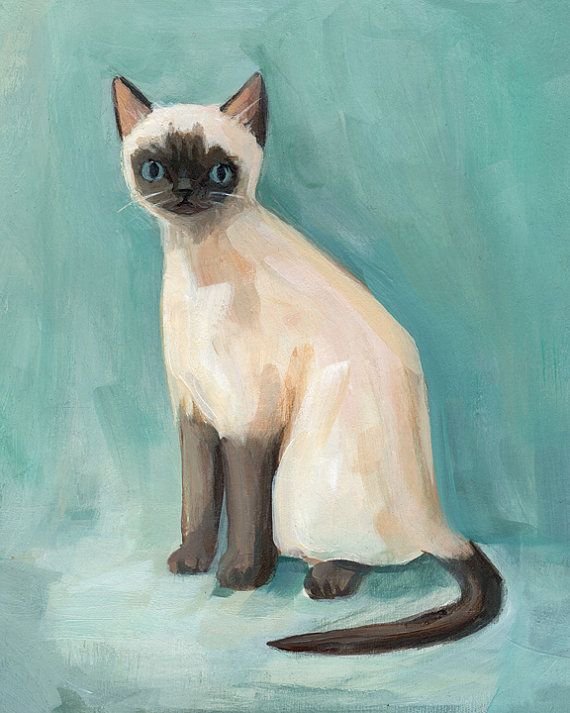 Сиамская кошка живопись