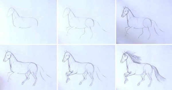Лошадь рисунок карандашом