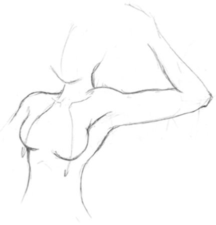 Рисунки тела для срисовки
