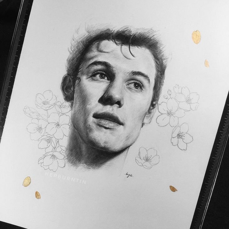 Shawn Mendes draw