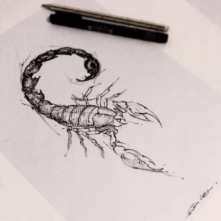 Скорпион эскиз