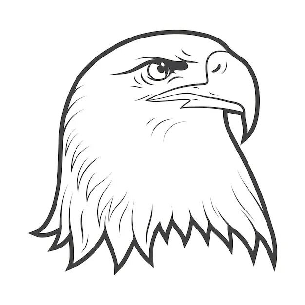 Орел рисунок