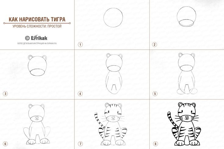 Поэтапное рисование тигренка для детей