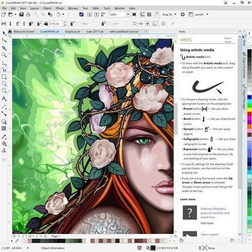 Coreldraw иллюстрации