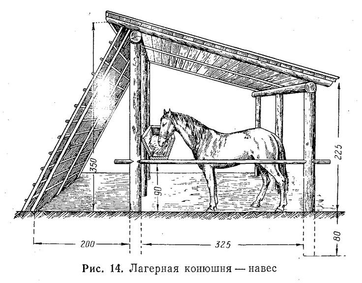 Чертежи стойла для КРС