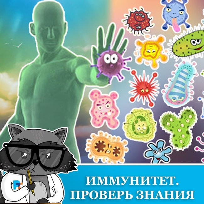 Рисунки на тему иммунитет