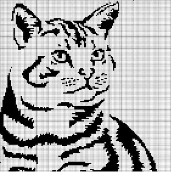 Рисунки по клеткам кошки