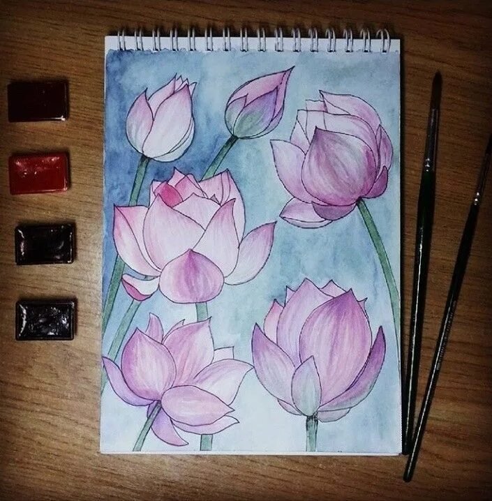 Цветы цветными карандашами