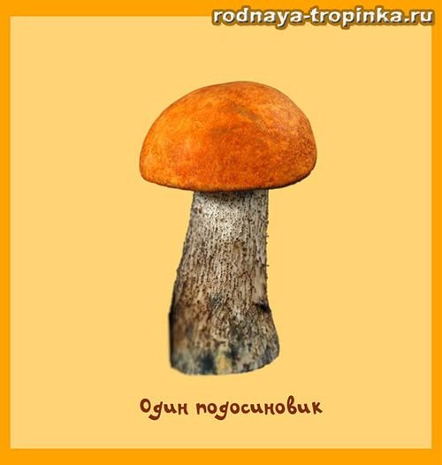 Гриб подосиновик рисунок