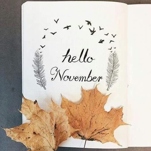 Bullet Journal ноябрь