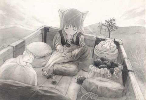 Holo Spice and Wolf