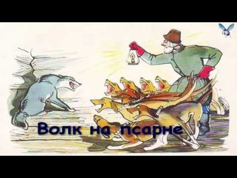 Рисунок к басне Крылова волк на псарне