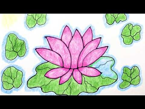 Кувшинка рисунок для детей 3 класса