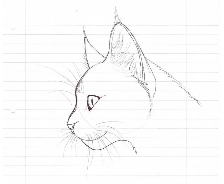 Несложные рисунки