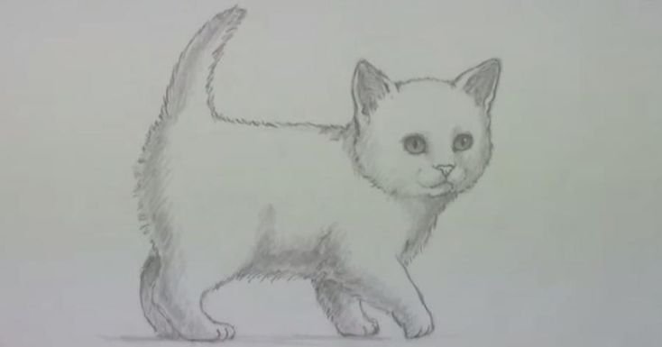 Рисунки котов для срисовки