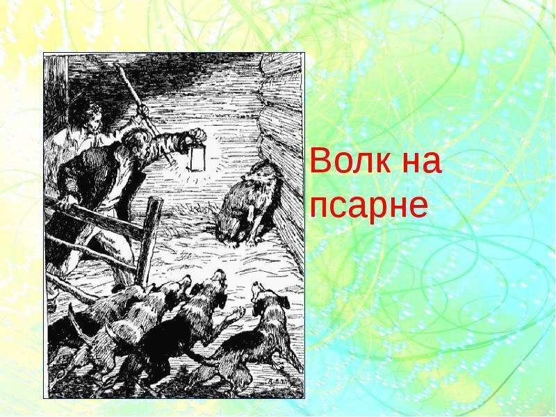 Волк на псарне рисунок