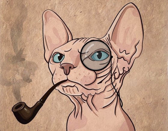 Кот сфинкс арт