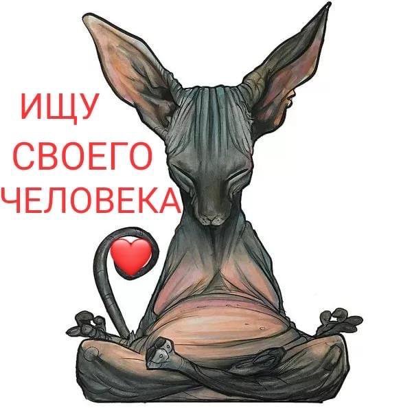 Сфинкс медитирует