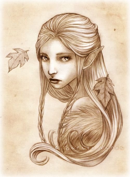 Эльфийки рисунок карандашом