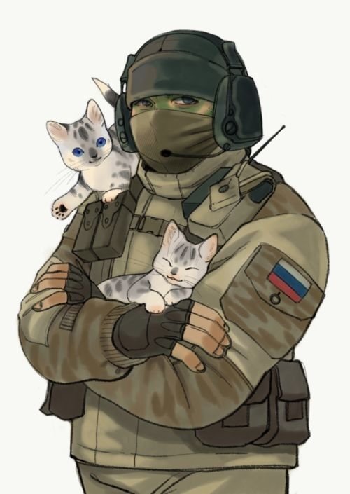 R6 Siege кот арт