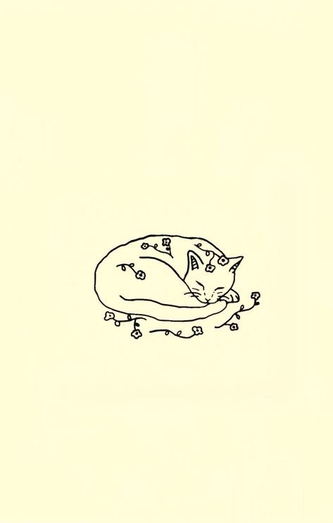 Кот Минимализм