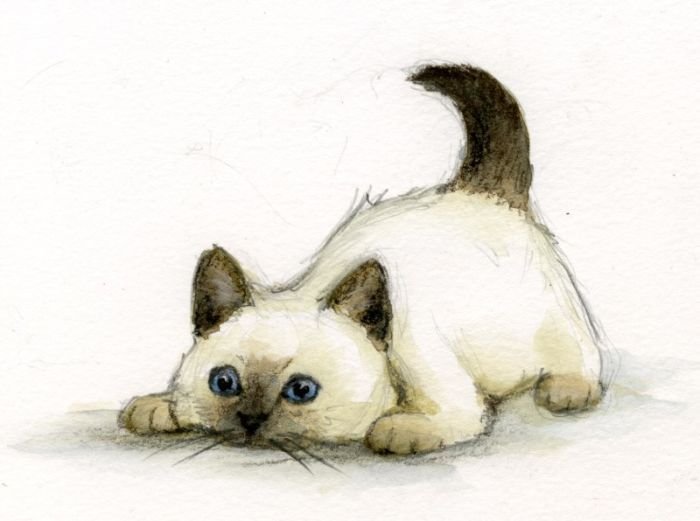 Котики для рисования