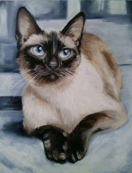 Кошки в живописи
