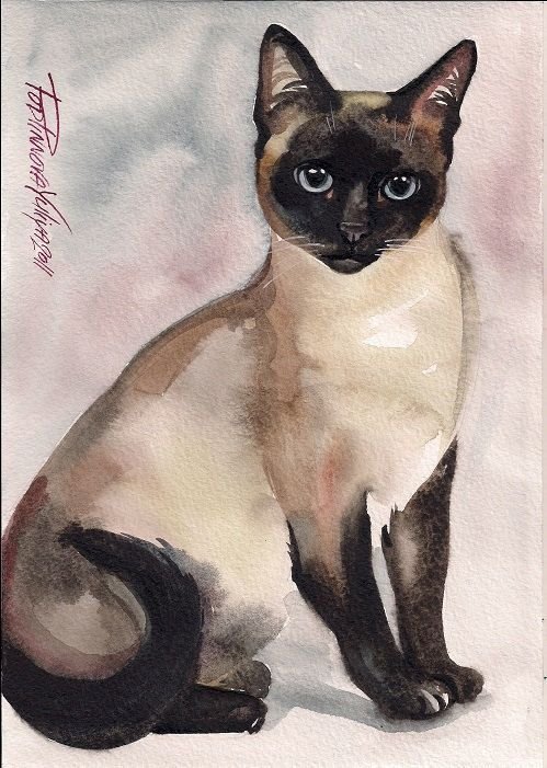 Сиамская кошка живопись