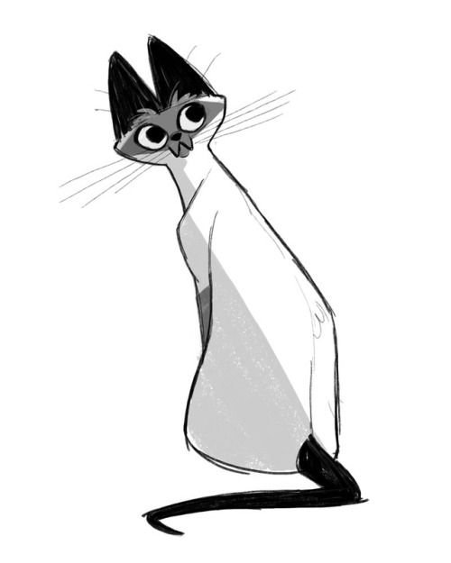 Сиамская кошка карандашом
