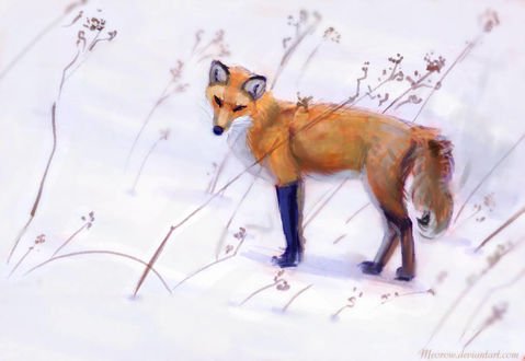 Зимняя лиса рисунок