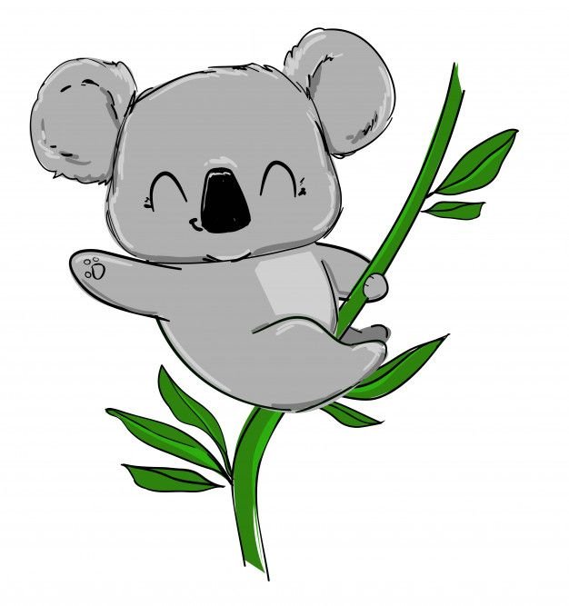 Коала рисунок легкий