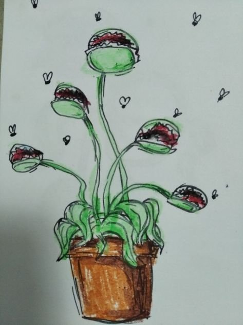 Мухоловка