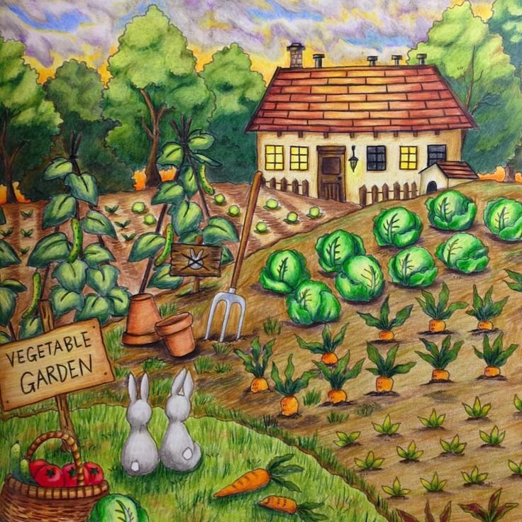 Нарисовать огород