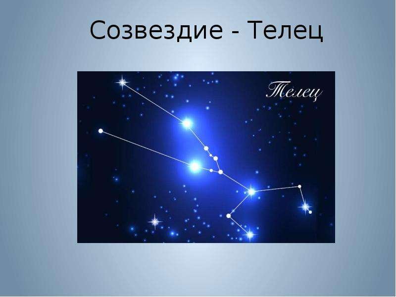 Созвездие тельца на небе схема