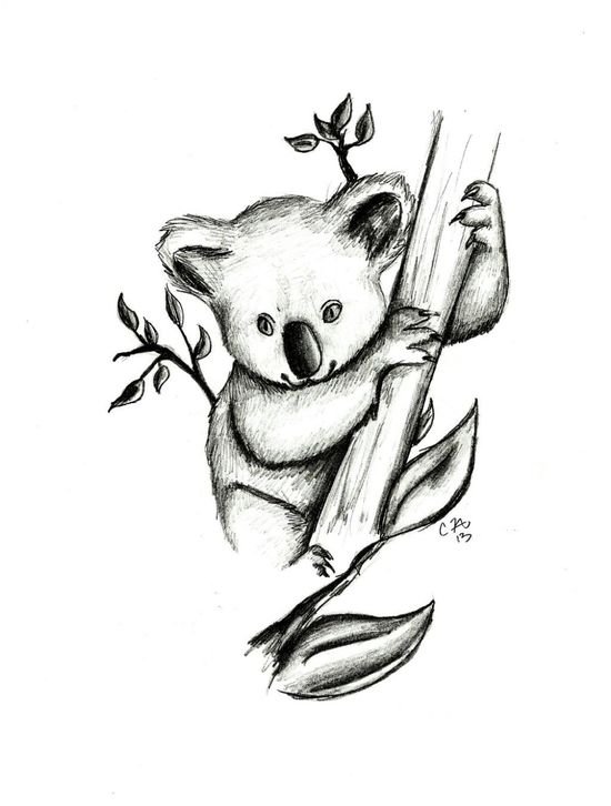 Коала