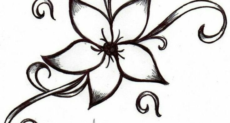 Рисунки для срисовки цветы
