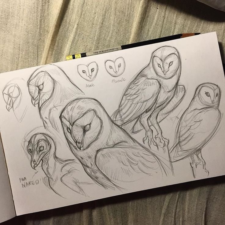 Идеи для рисунков