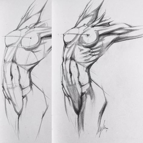 Женское тело рисунок карандашом